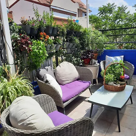 Loft con jardin-2