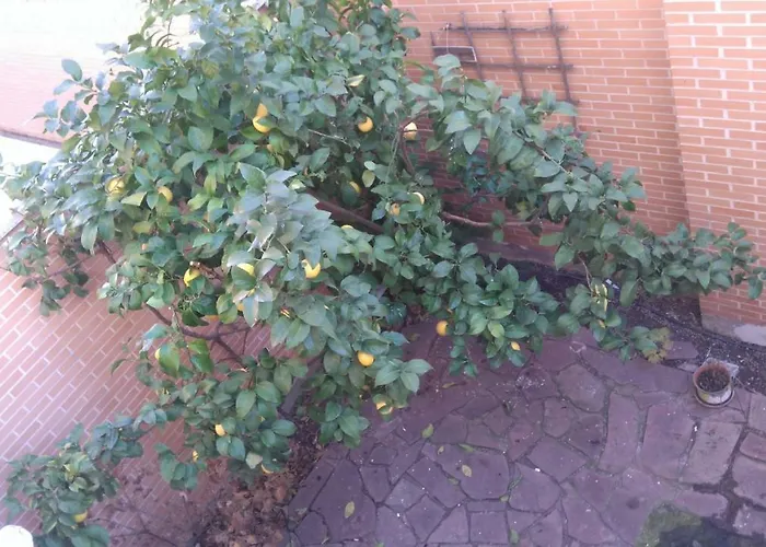 Casa vacanza: Mirador Madrid